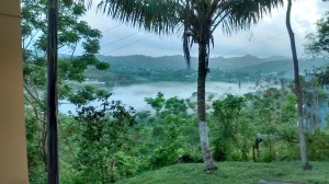 Photos in the fog and mist at her husband's house in Puerto Rico. "Every time I visit, I wake up to the mist and I think it's magical."