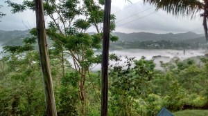 Photos in the fog and mist at her husband's house in Puerto Rico. "Every time I visit, I wake up to the mist and I think it's magical."