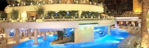 The pool with shark tank at the Golden Nugget