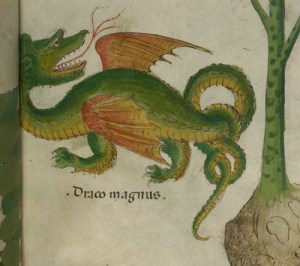 Dragon in fifteenth-century Italian herbal. © The British Library, Sloane 4016, f. 38